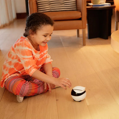 Smart Home Companion Robot Remote